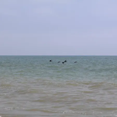Apartament Emi Apartment Mamaia